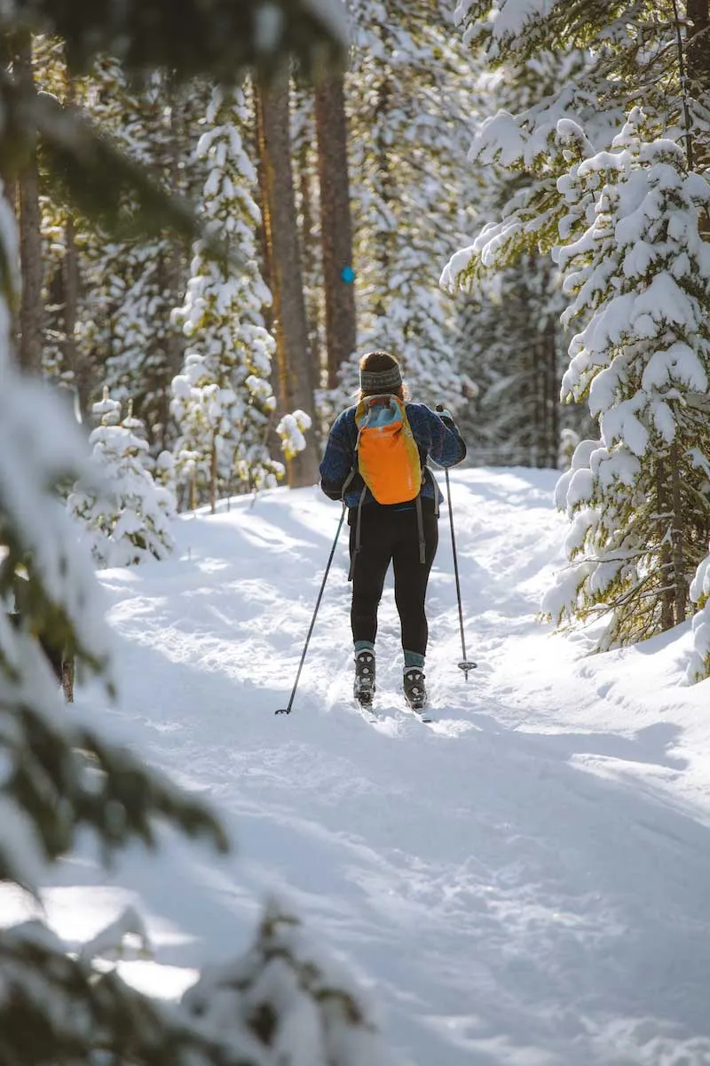 Cross Country skier in snow on trails