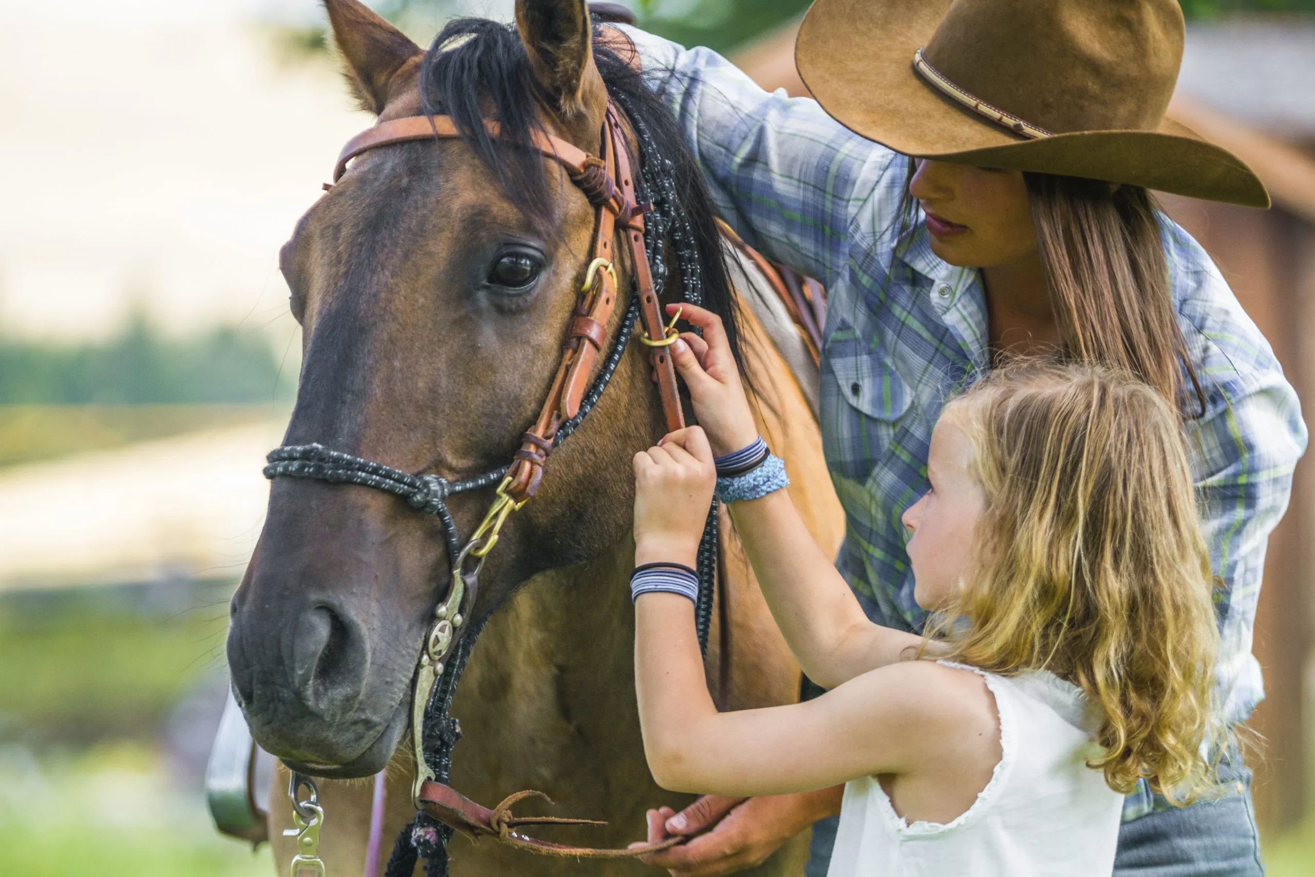 A wrangler teaching a child how to tend to a horse
