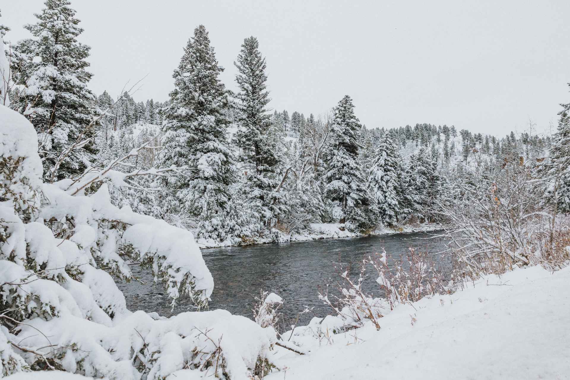 Rock Creek covered in a fresh layer of snow
