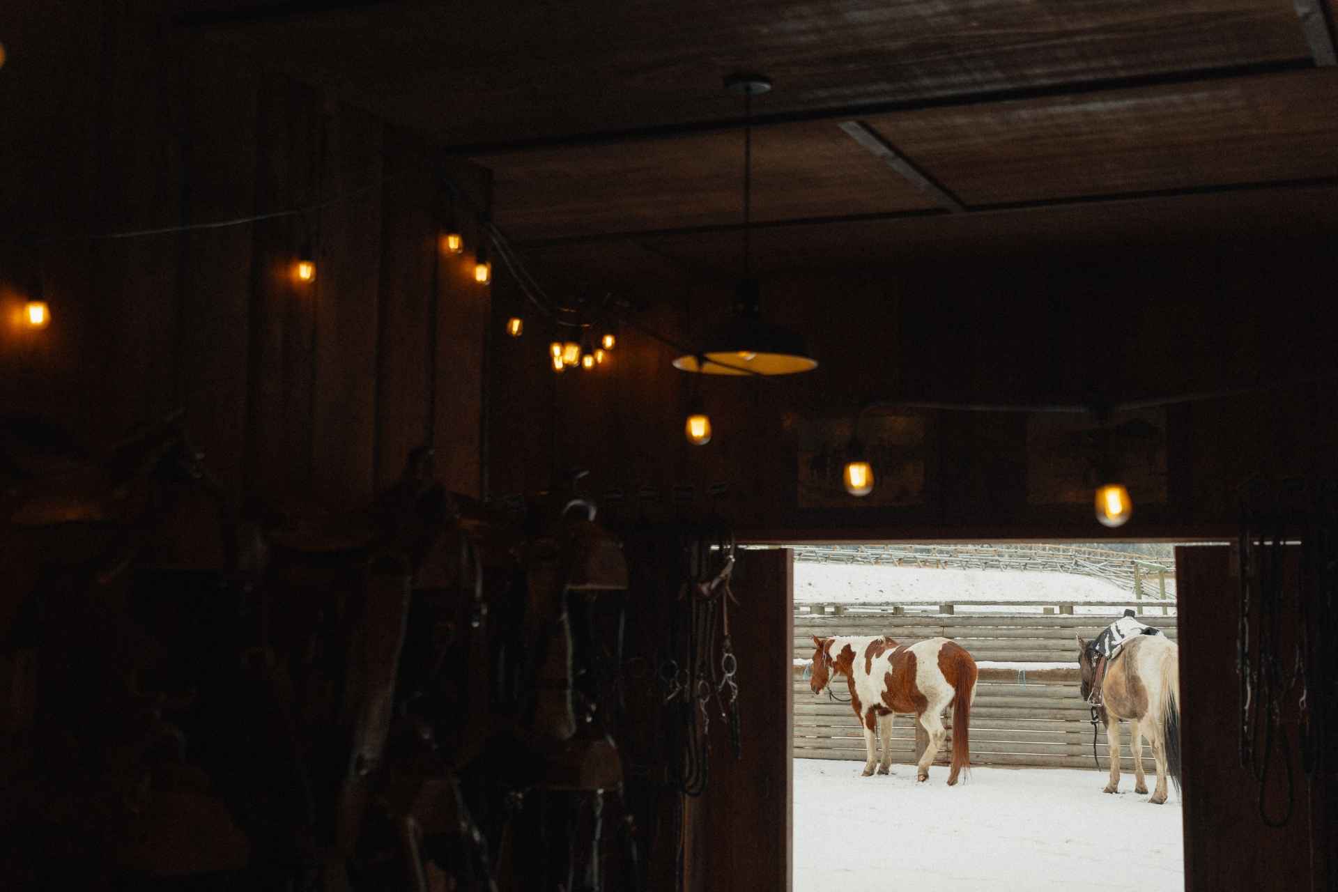 The view of the snowy barn lot looking out from the tack room