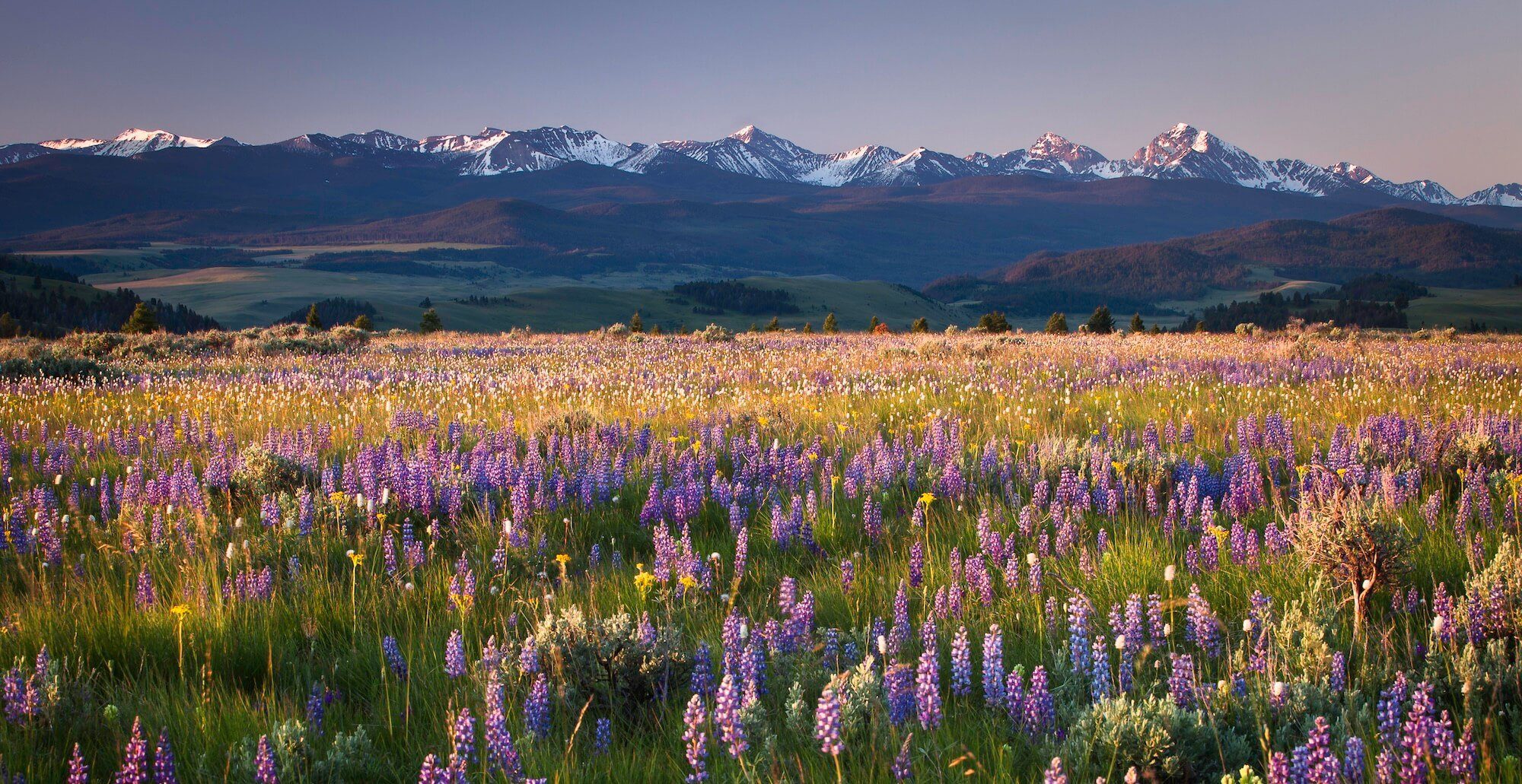 The Pintler Mountain Range in Philipsburg, Montana