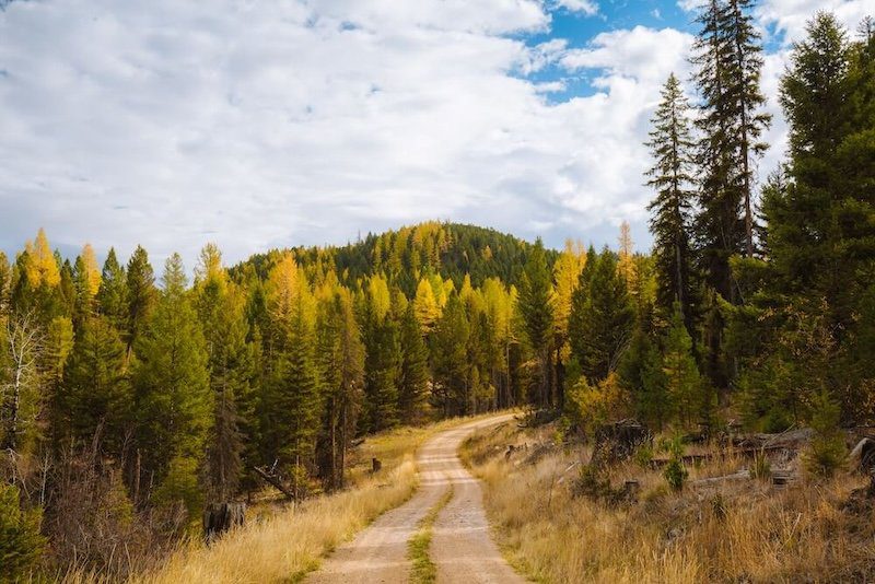landscape view of a dirt road trail