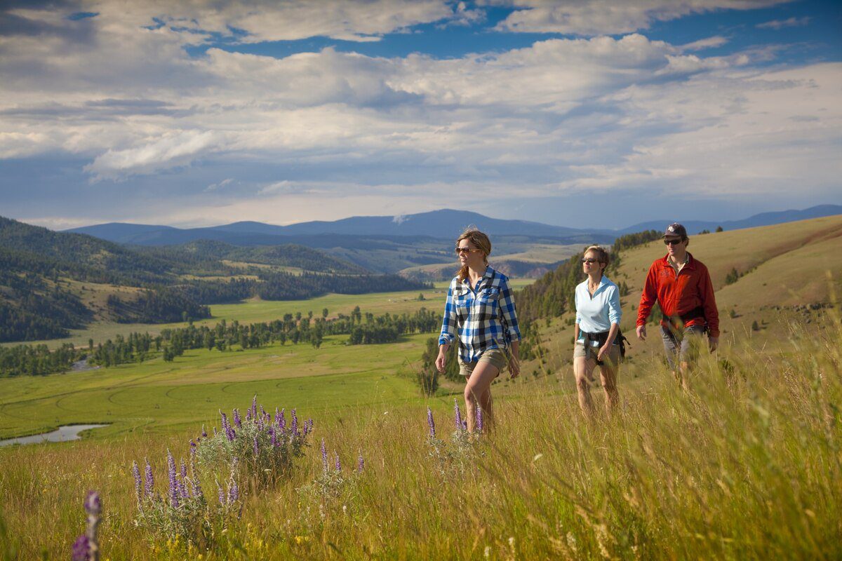 Group of Friends Hiking