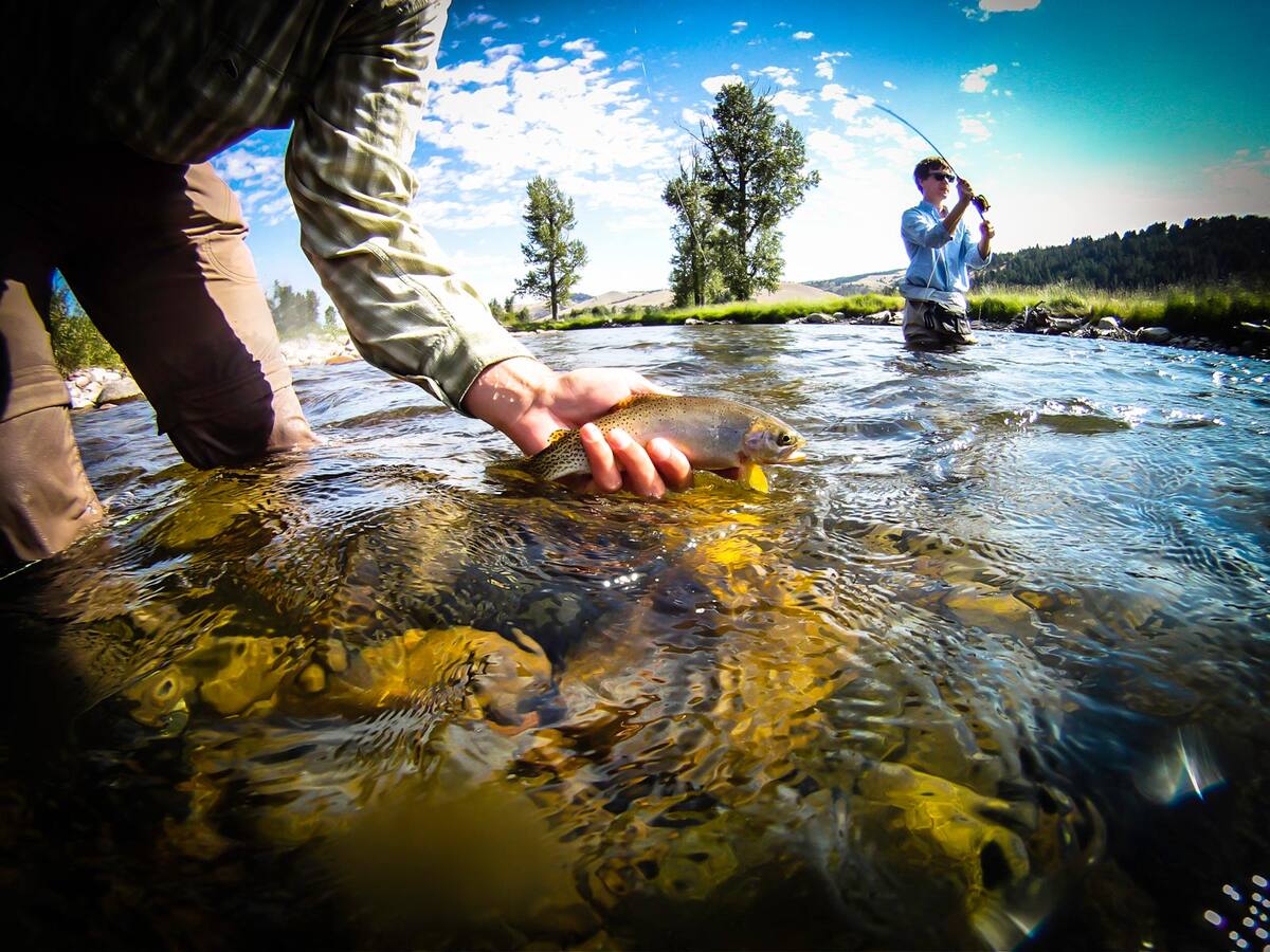 Fly Fishing
