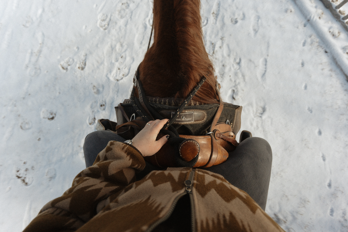 Horseback riding through the mountain snow