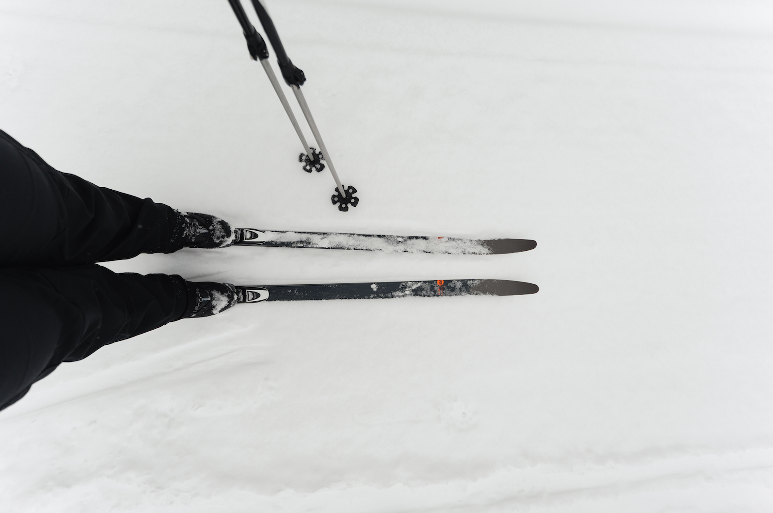 Cross Country Skiing Through the snow